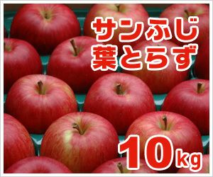 葉とらずサンふじ｜減農薬の家庭用りんごなら青森りんご産地直送大湯