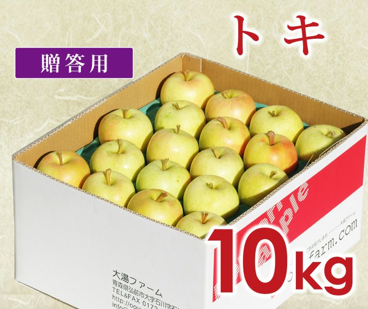 青森県産加工用りんご　トキ 約20kg りんご【トキ】約5kg（12～20玉）【2026年産・先行予約】☆2026年9月