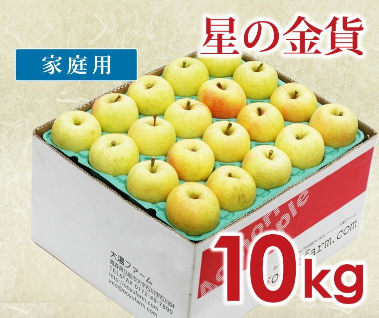 青森県産 ＂ 星の金貨 ＂ りんご 家庭用 10kg 産地直送 リンゴ 林檎 りんご 10kg 金星 青森産 送料無料 食品 : 花と緑 国華園 - 通販
