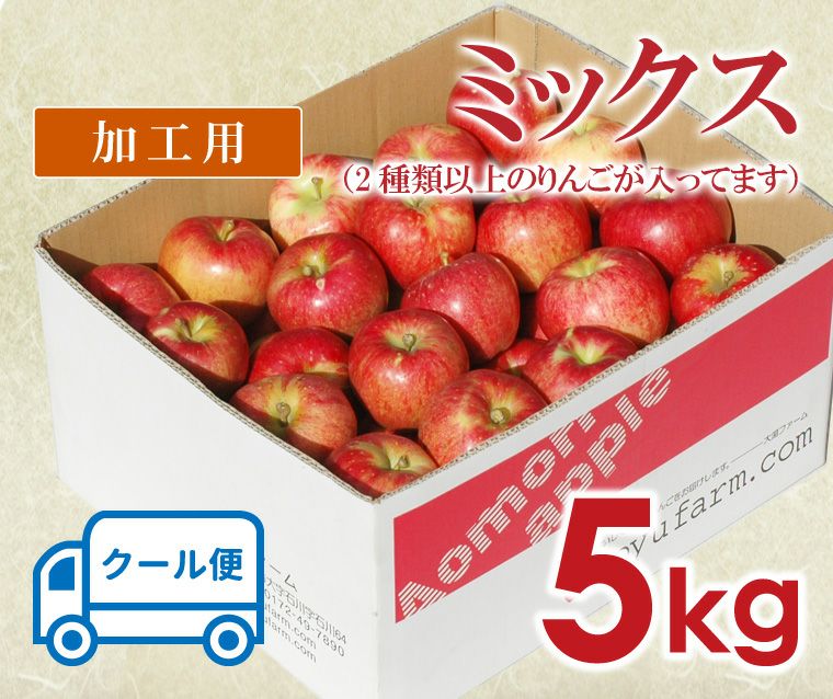 青森県産 ＂ こうこう ＂りんご 加工用 20kg 産地直送 リンゴ 林檎 産地発送】12月下旬～24年1月出荷予定 青森県りんご こうとく 蜜入り 8