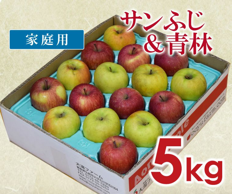 数量限定　　サンふじ　　家庭用５kg 数量限定！特大サイズのサンふじ 家庭用 特別栽培5キロ 10個～12個